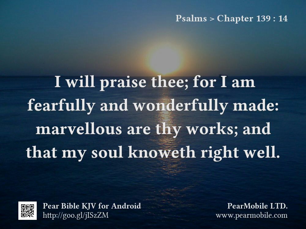 Psalms, Chapter 139:14